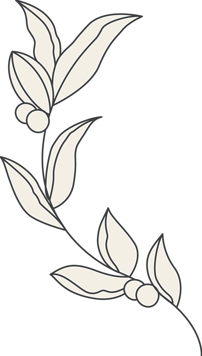 beauty-esthetician-41